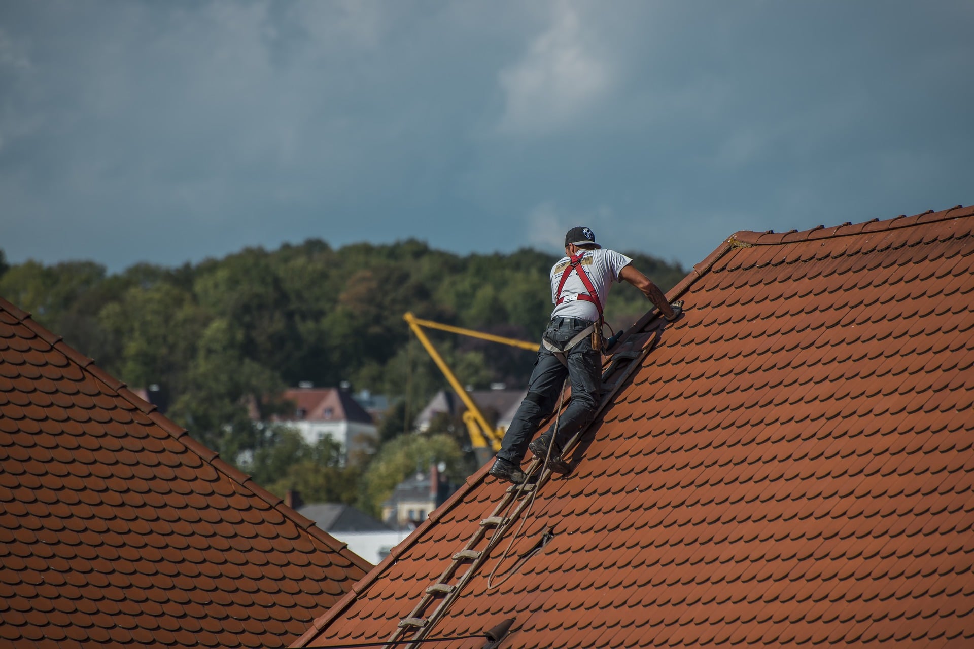 Healthy Roof